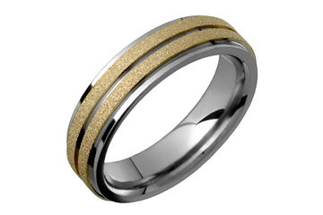 Titanium & 14K Yellow Gold Satin Ring Alain Raphael
